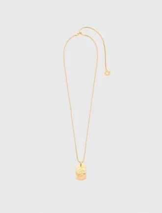 Ketting met sterrenbeeldplaatje