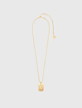 Ketting met sterrenbeeldplaatje