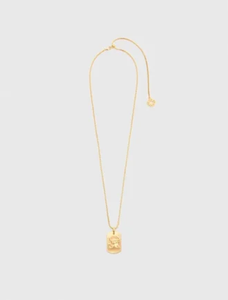Ketting met sterrenbeeldplaatje
