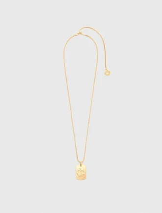 Ketting met sterrenbeeldplaatje