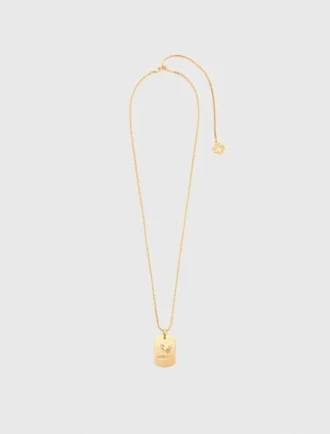Ketting met sterrenbeeldplaatje