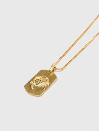 Ketting met sterrenbeeldplaatje