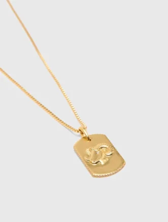 Ketting met sterrenbeeldplaatje