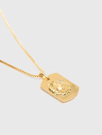 Ketting met sterrenbeeldplaatje