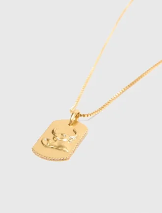 Ketting met sterrenbeeldplaatje