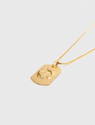 Ketting met sterrenbeeldplaatje