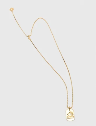 Ketting met sterrenbeeldplaatje