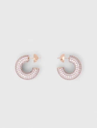 Oorbellen met strass