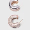 Oorbellen met strass