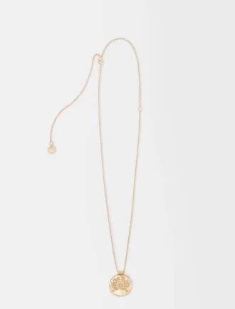 Zodiac-medaille