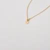 Zodiac-medaille