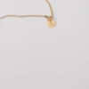 Zodiac-medaille